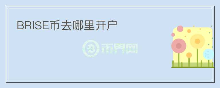 BRISE幣去哪里開戶