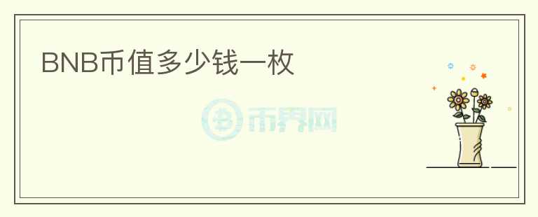 BNB幣值多少錢一枚