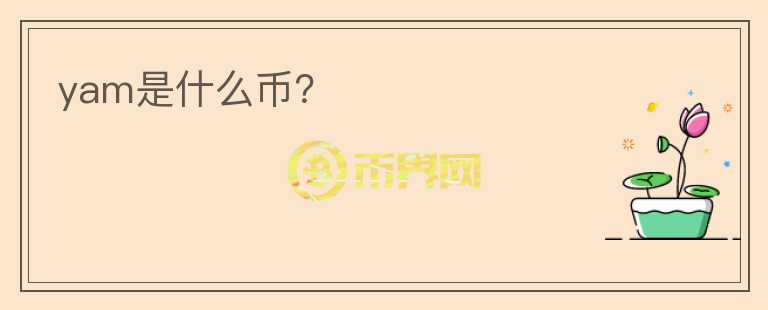 yam是什么幣？