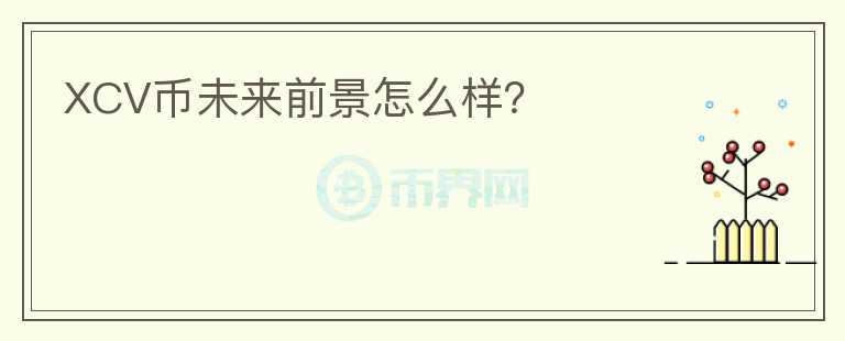 XCV幣未來前景怎么樣？