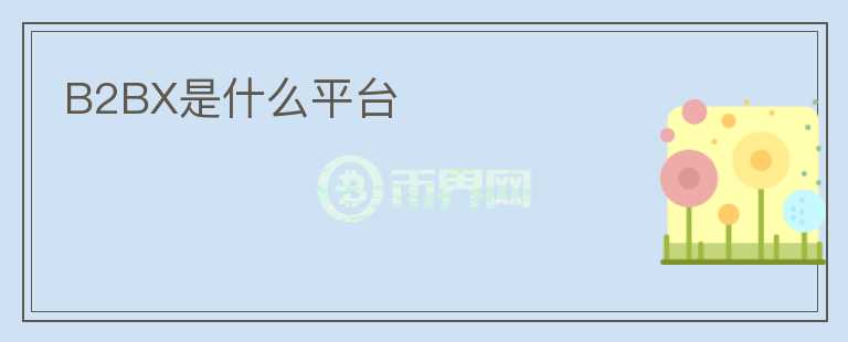 B2BX是什么平臺