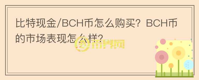 比特現(xiàn)金/BCH幣怎么購買？BCH幣的市場(chǎng)表現(xiàn)怎么樣？