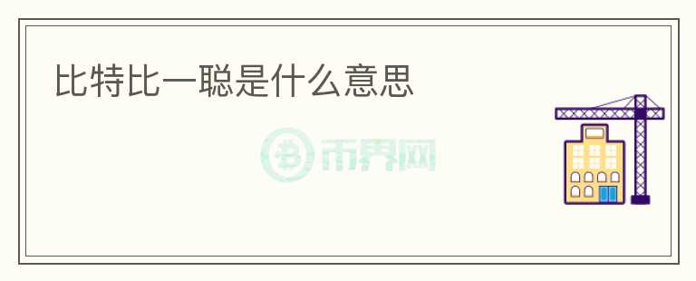 比特比一聰是什么意思