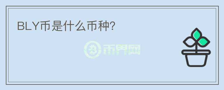 BLY幣是什么幣種？