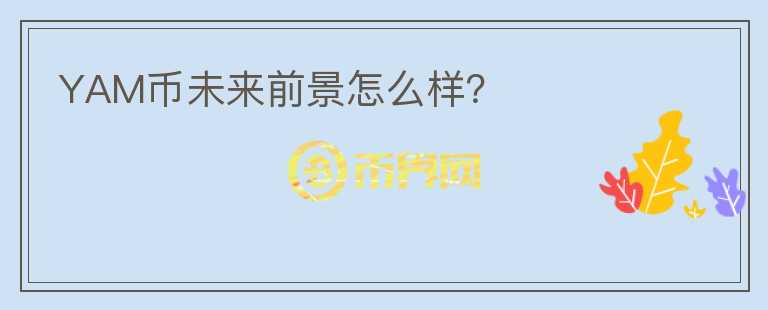 YAM幣未來前景怎么樣？