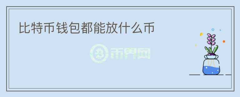 比特幣錢包都能放什么幣