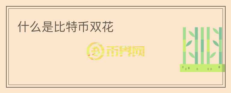 什么是比特幣雙花