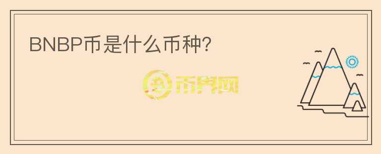 BNBP幣是什么幣種？