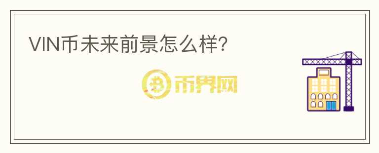 VIN幣未來前景怎么樣？