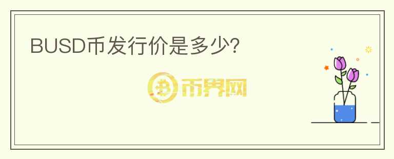 BUSD幣發(fā)行價是多少？