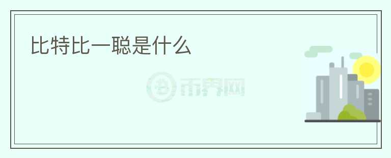 比特比一聰是什么
