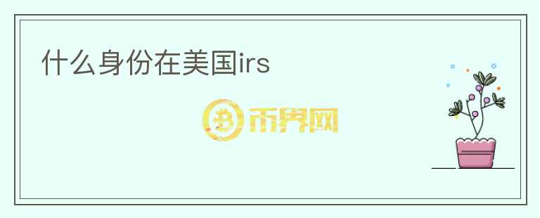 什么身份在美國irs