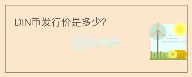 DIN幣發(fā)行價是多少？