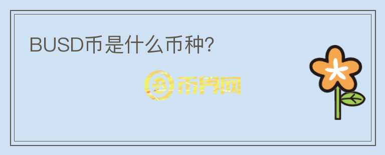 BUSD幣是什么幣種？