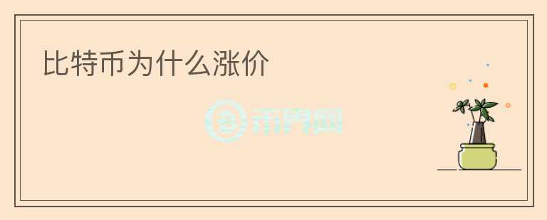 比特幣為什么漲價(jià)