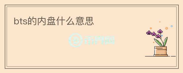 bts的內(nèi)盤什么意思