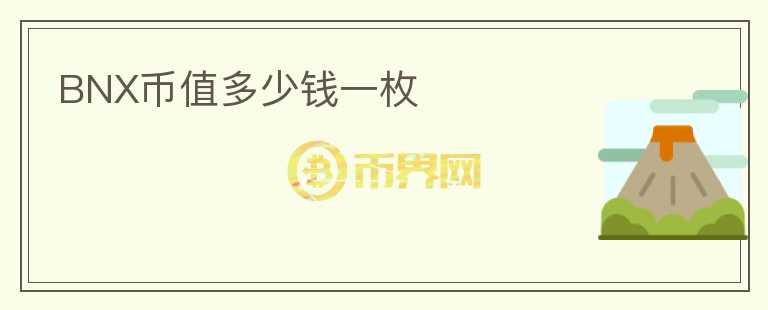 BNX幣值多少錢一枚