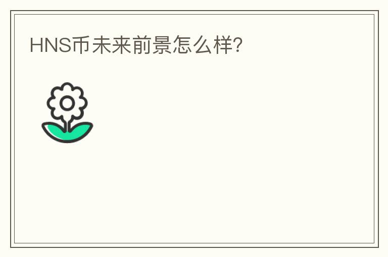 HNS幣未來前景怎么樣？