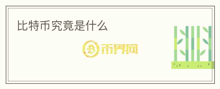 比特幣究竟是什么