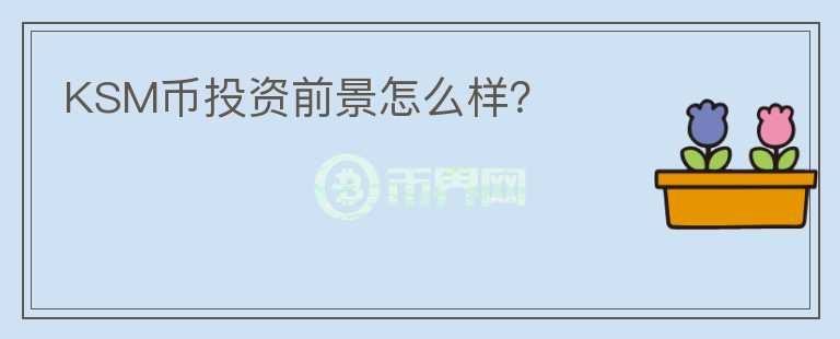 KSM幣投資前景怎么樣？