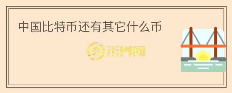 中國比特幣還有其它什么幣