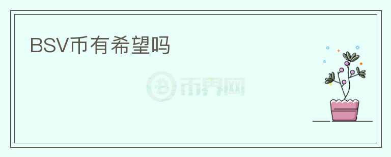 BSV幣有希望嗎