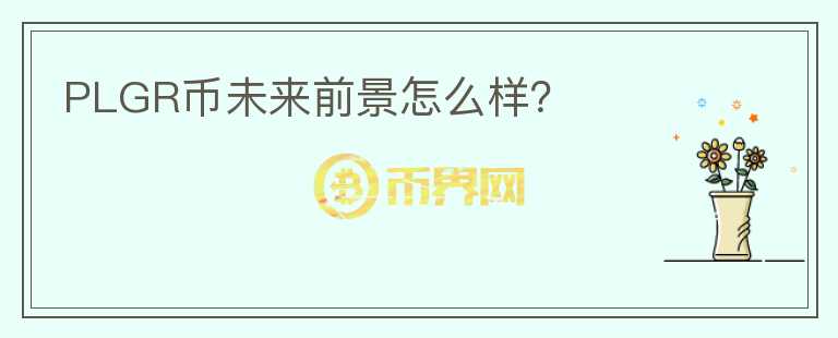 PLGR幣未來前景怎么樣？