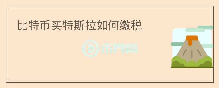 比特幣買特斯拉如何繳稅
