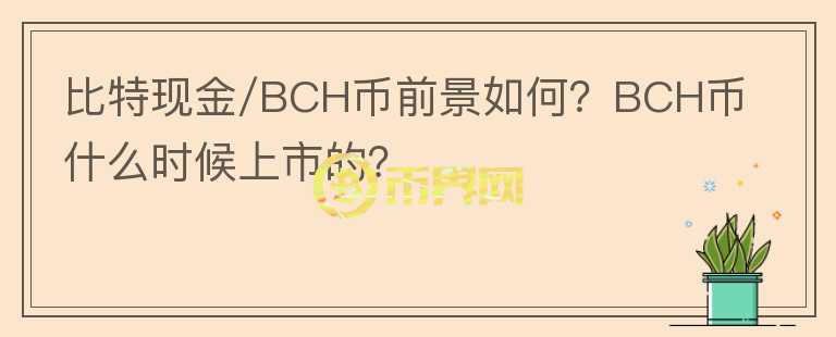 比特現(xiàn)金/BCH幣前景如何？BCH幣什么時候上市的？