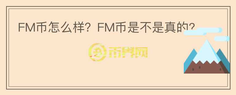 FM幣怎么樣？FM幣是不是真的?