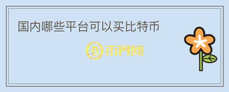 國內(nèi)哪些平臺可以買比特幣