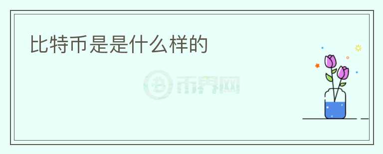 比特幣是是什么樣的