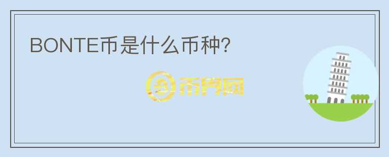 BONTE幣是什么幣種？