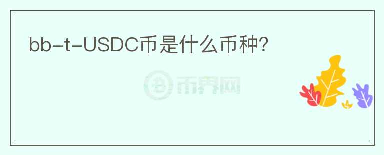 bb-t-USDC幣是什么幣種？