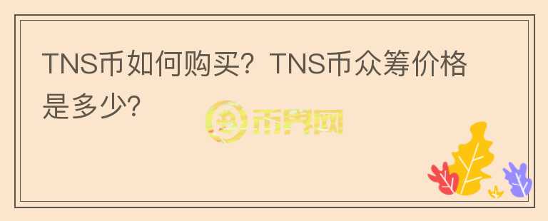 TNS幣如何購買？TNS幣眾籌價格是多少？
