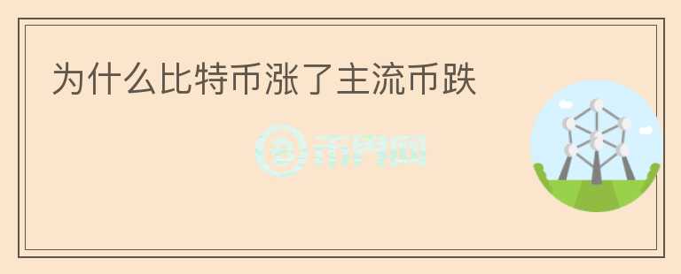 為什么比特幣漲了主流幣跌