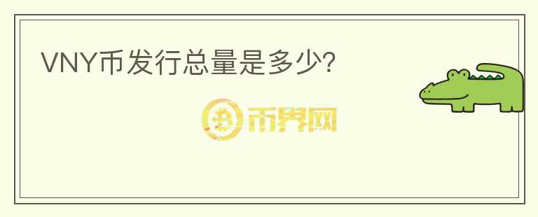 VNY幣發(fā)行總量是多少？