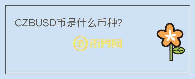 CZBUSD幣是什么幣種？