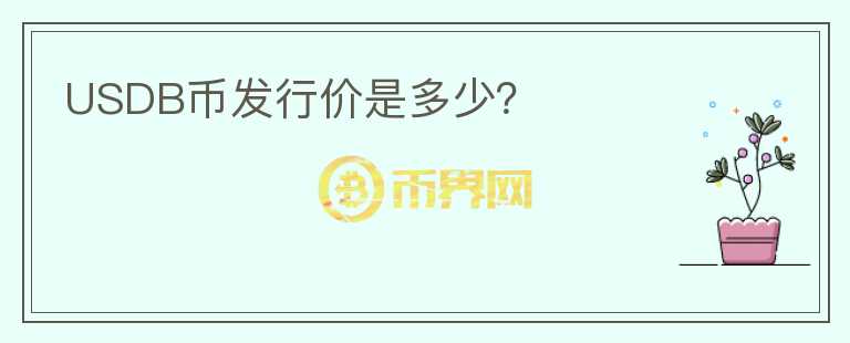 USDB幣發(fā)行價(jià)是多少？