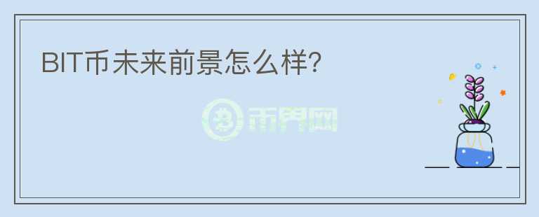 BIT幣未來前景怎么樣？