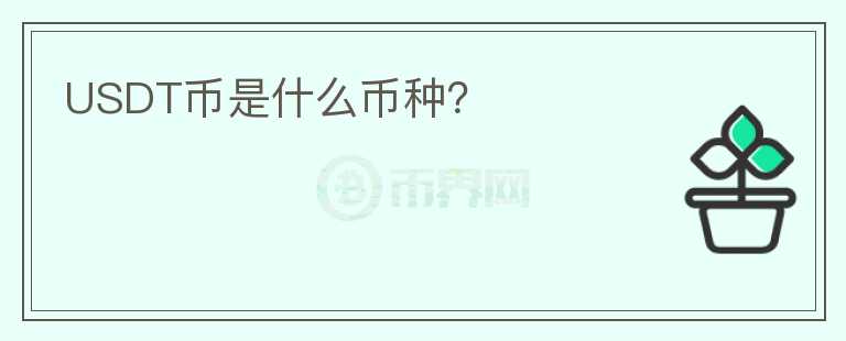 USDT幣是什么幣種？