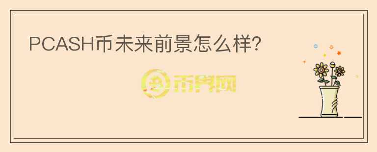 PCASH幣未來前景怎么樣？