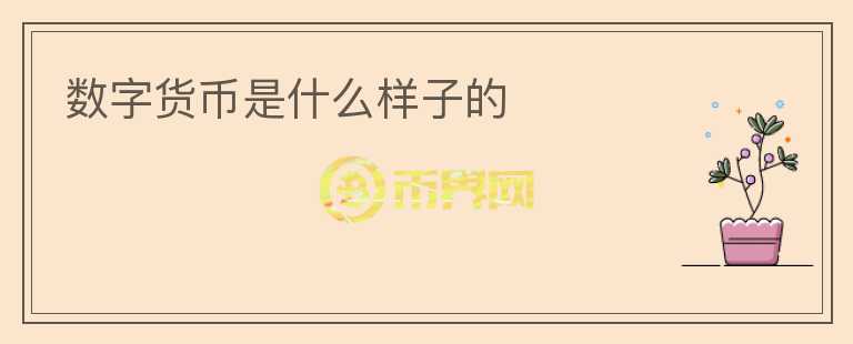 數(shù)字貨幣是什么樣子的