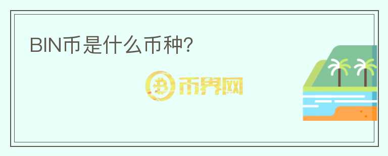 BIN幣是什么幣種？