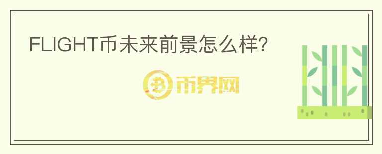 FLIGHT幣未來前景怎么樣？
