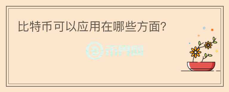 比特幣可以應(yīng)用在哪些方面？
