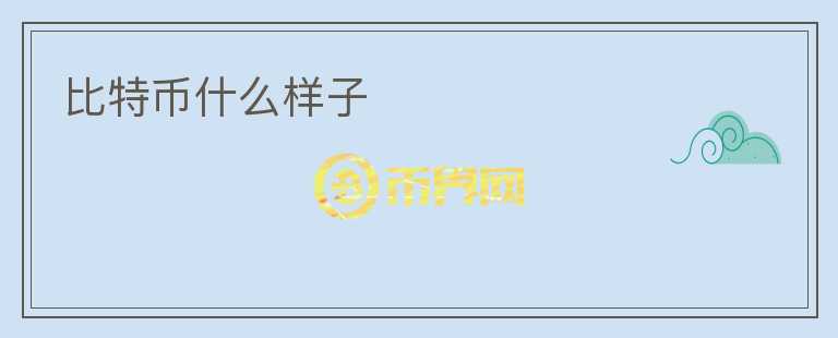 比特幣什么樣子