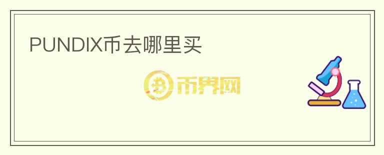 PUNDIX幣去哪里買