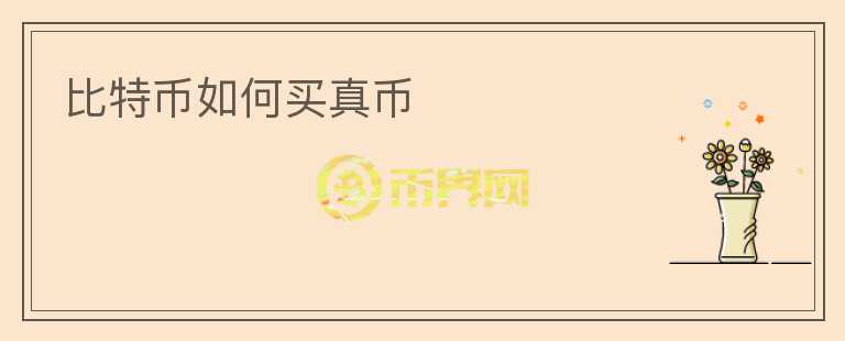 比特幣如何買(mǎi)真幣