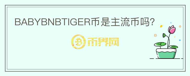 BABYBNBTIGER幣是主流幣嗎？